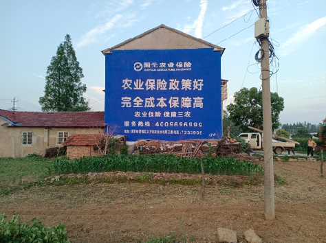 射阳墙体广告为何受追捧？