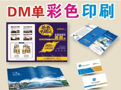 射阳单页印刷，色彩搭配简单。